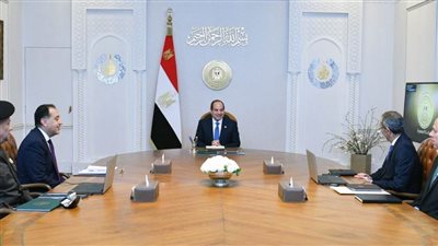 عاجل.. الرئيس السيسي يبحث إطلاق مبادرة الرواد الرقميون 