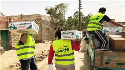 الأورمان: توزيع كراتين رمضان على 350 أسرة ضمن الأسر الأولى بالرعاية بقرى مركز إدفو بأسوان 