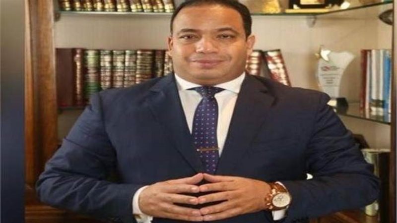 د عبد المنعم السيد