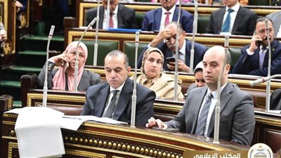 عاجل.. مجلس النواب يستجيب للأطباء ويدرج مشروع قانون المسؤولية الطبية على جدول أعماله