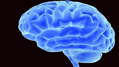 المفتاح السري لصحة القلب والذاكرة؟