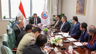 نائب رئيس الوزراء يبحث فرص زيادة الاستثمارات العالمية في السوق المصري