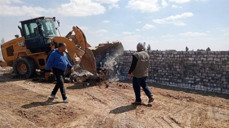 الموجة 25 ببورسعيد