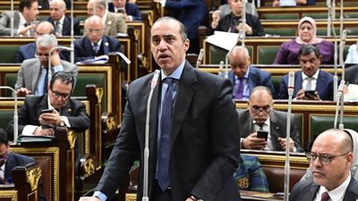 وزير المجالس النيابية: الحكومة تعكف على إعادة مناقشة بعض مواد مشروع قانون العمل الجديد