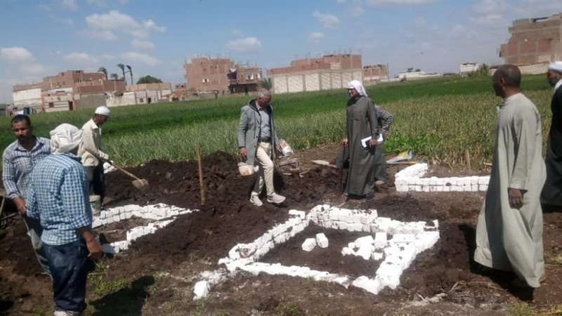 إزالة التعديات