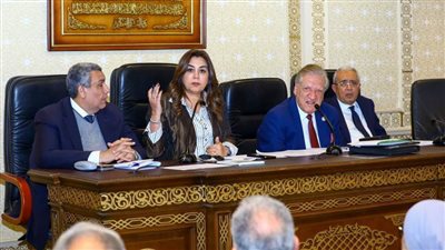 التنمية المحلية: اعتماد الأحوزة العمرانية للكتل والمتناثرات في 16 محافظة