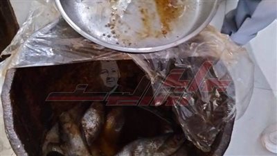 ضبط 500 كجم أسماك ولحوم مجمدة مجهولة المصدر بكفر الشيخ