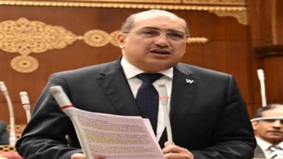 برلمانية الشعب الجمهوري: قانون «المسؤولية الطبية» يحقق التوازن بين حماية الأطباء وضمان حقوق المرضى