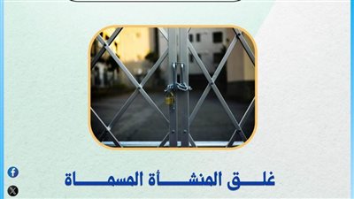 التعليم العالي: غلق كيانين وهميين بالإسكندرية