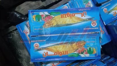 ضبط 500 كجم أسماك مجمدة ومملحة بكفر الشيخ 
