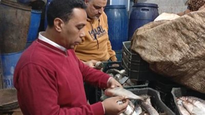 ضبط 7.4 طن فسيخ وأسماك مملحة غير صالحة للاستهلاك الآدمي بالدقهلية 