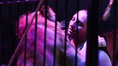 اعتبارا من أول أيام العيد.. حفلتان لسيرك محمد الحلو بمدينة ٦ أكتوبر 