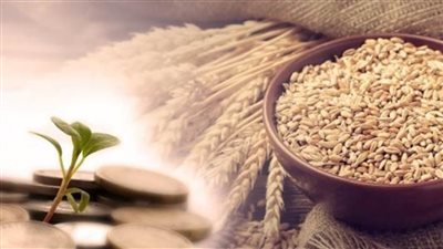 عاجل| زكاة الفطر 2025 في مصر.. اعرف قيمتها ووقتها ولمن تعطي