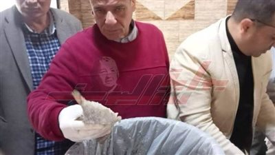ضبط 320 كجم أسماك مملحة مجهولة المصدر بكفر الشيخ