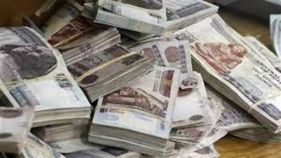 اتخاذ الإجراءات القانونيـة حيـال 6 عناصر إجرامية غسلوا 500 مليون جنيه 