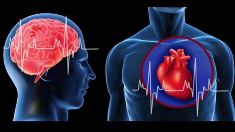 القلب وتغيرات الدماغ