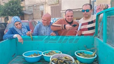 ضبط 350 كجم من الأسماك المملحة مجهولة المصدر بكفر الشيخ
