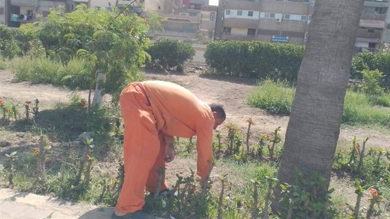 نظافة وتجميل فى الغربية