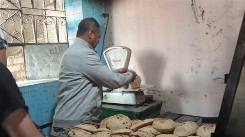 جانب من الحملات