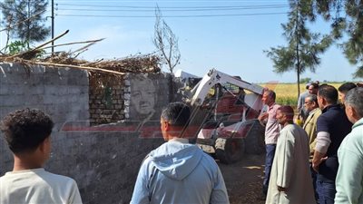 حملات لإزالة التعديات على الأراضي الزراعية بكفر الشيخ