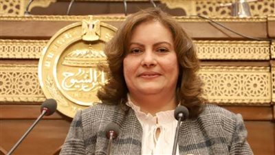 عايدة نصيف: المرأة الفلسطينية تعاني ويلات الحرب الإسرائيلية الغاشمة على الشعب الفلسطيني