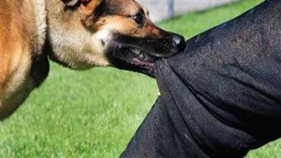  إصابة 5 أشخاص بعقر كلب أثناء سيرهم بإحدى قرى إيتاي البارود 