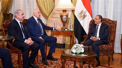 وزير الخارجية: القوة الإسرائيلية الغاشمة تُكرس شعور الانتقام ضدها في المنطقة  