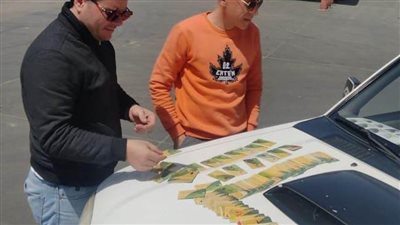 تموين الإسكندرية: ضبط ١٠٥ بطاقات تموينية بداخل أحد المخابز وتضبط أسماكًا مملحة دون بيانات