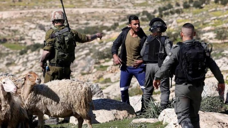 قوات الاحتلال الإسرائيلي