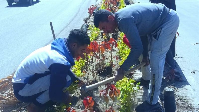 جانب من النظافة والتجميل