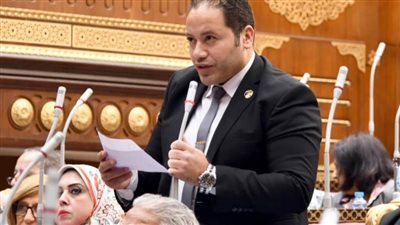 النائب مصطفى سالمان: زيارة ماكرون لمصر تأكيد لدور مصر المحوري في المنطقة