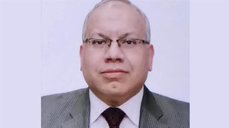 المستشار محمد حسين