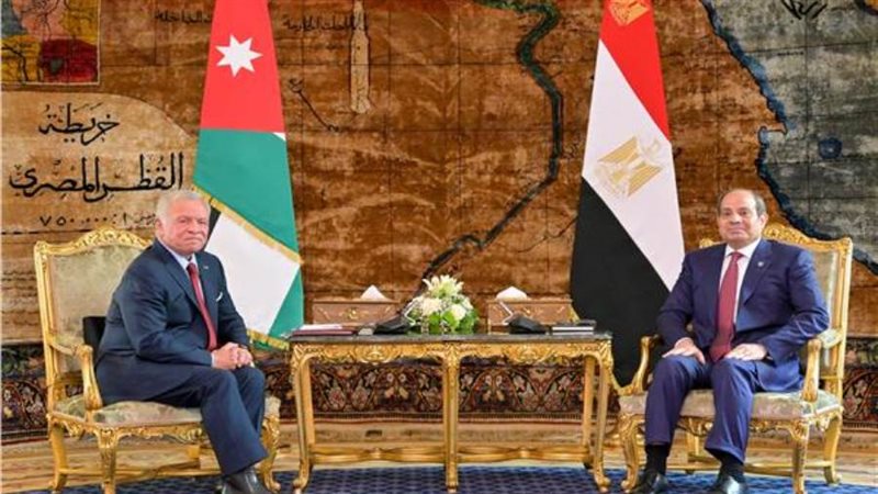 الرئيس السيسي وملك