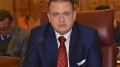 حماة الوطن: زيارة السيسي وماكرون للعريش تأكيد على مركزية الدور المصري