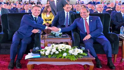 «مستقبل وطن» يثمن زيارة الرئيس الفرنسي لمصر ونتائجها بالغة الأهمية 
