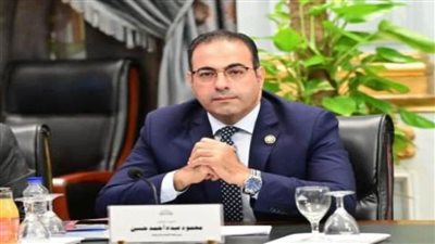 رئيس شباب النواب: مصر والمصريون المدافع الأول عن القضية الفلسطينية ولن نقبل بتصفيتها