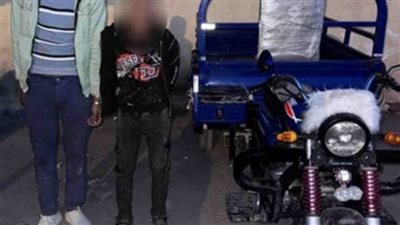 ضبط شخصين لقيامهما بسرقة هاتف محمول من إحدى السيدات بالإسكندرية