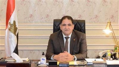 سامي سوس: تجمع المصريين في العريش يؤكد رفضهم لمخطط التهجير القسري