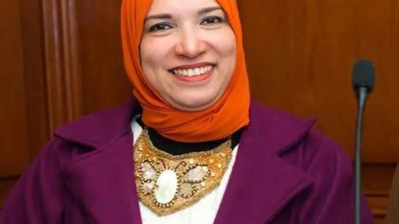 الدكتورة ميرفت السيد