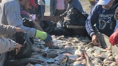 جهاز حماية وتنمية البحيرات يواصل أعمال الصيد لهذا العام