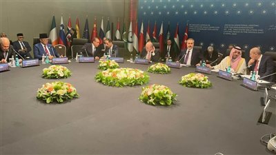 وزير الخارجية يشارك في اجتماع اللجنة الوزارية العربية الإسلامية حول غزة