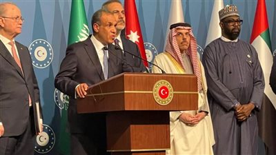 اجتماع للجنة الوزارية العربية الإسلامية حول غزة مع روسيا والصين والاتحاد الأوروبي