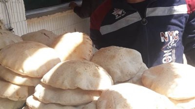 تموين الإسكندرية: استمرار متابعة جميع محطات الوقود ولا زيادة في أسعار الخبز 