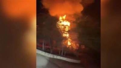  الجيش الأردني: طائرة مسيرة مجهولة المصدر دخلت المجال الجوي الأردني وسقطت في مأدبا