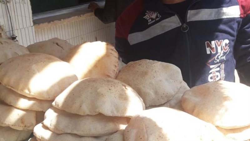 تموين الإسكندرية: