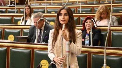 خارجية النواب: زيارة رئيس إندونيسيا لمصر تفتح آفاقا جديدة للتعاون المشترك