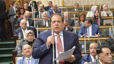 وكيل مجلس النواب: الفوز برئاسة برلمان الاتحاد من أجل المتوسط يرجع لدور مصر المحوري 