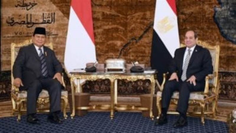 العلاقات المصرية