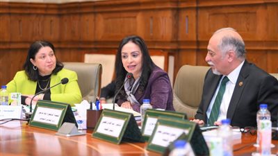 وزيرة التضامن : لجنة مشتركة بشأن التيسير على الأشخاص ذوي الإعاقة لاستخراج بطاقة الخدمات المتكاملة