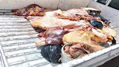 ضبط 180 كيلو لحوم مصابة بالصفرا وغير صالحة للاستهلاك الآدمي بأسوان 